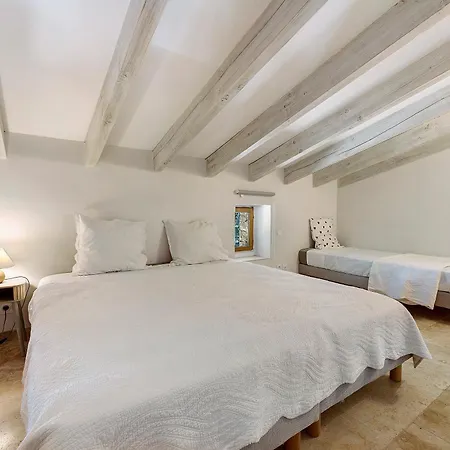 Mas Pepette 24 Personnes Holiday home