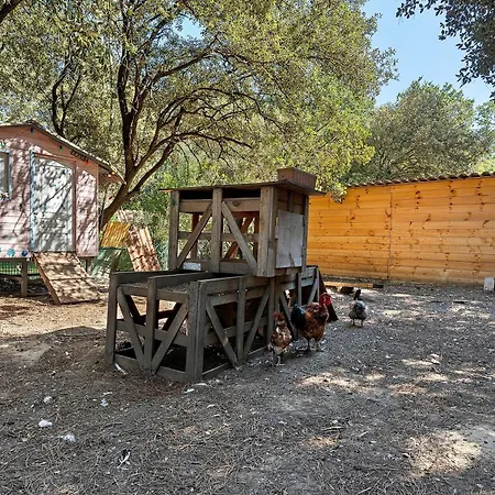 Holiday home Mas Pepette 24 Personnes Vers Pont du Gard
